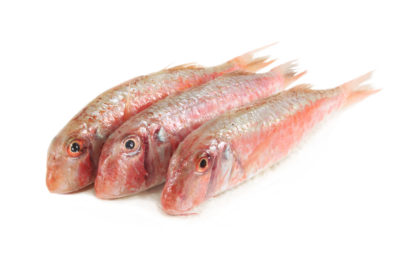 Red Mullet